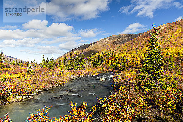 Herbstfarben und South Fork Eagle River auf der Wanderung Symphony Lakes/Eagle Lake im Chugach State Park; Eagle River  Alaska  Vereinigte Staaten von Amerika