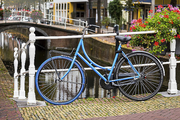 Fahrrad entlang weißem Metallgeländer auf Steinbrücke mit bunten Blumen in Kasten und Kanal im Hintergrund unten; Delft  Südholland  Niederlande