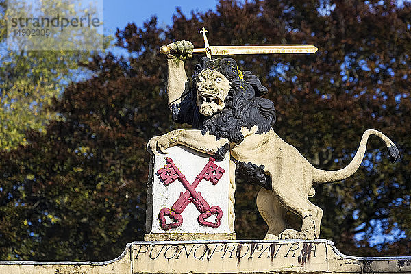 Nahaufnahme einer Löwenskulptur mit Schwert auf einem Denkmal mit Bäumen im Hintergrund; Leiden  Niederlande