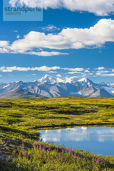 Die Alaska Range  gesehen vom McLaren Ridge Trail am Alaska Highway an einem sonnigen Sommertag in Süd-Zentral-Alaska; Alaska  Vereinigte Staaten von Amerika