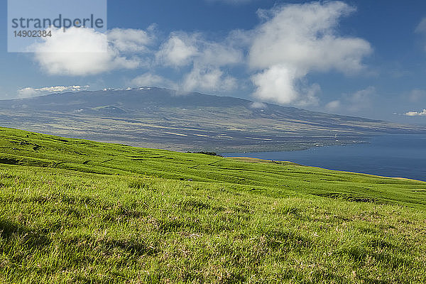 Weideland auf der Parker Ranch  Kohala Mountain mit Hualalai in der Ferne; Insel Hawaii  Hawaii  Vereinigte Staaten von Amerika