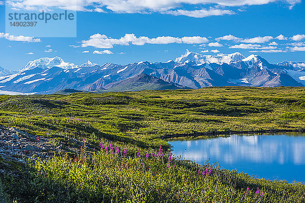 Die Alaska Range  gesehen vom McLaren Ridge Trail am Alaska Highway an einem sonnigen Sommertag in Süd-Zentral-Alaska; Alaska  Vereinigte Staaten von Amerika