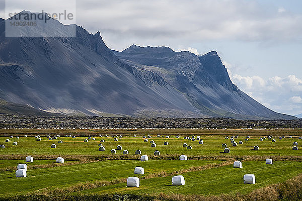 Heuballen auf einem Feld an der Küste der Halbinsel Snaefellsness; Island