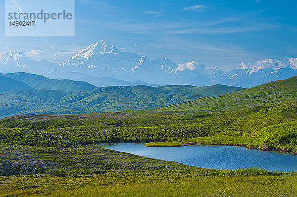 20.320' Mount Denali (früher Mount McKinley) an einem sonnigen Sommertag  gesehen von Peters Hills im Denali State Park in Süd-Zentral-Alaska; Alaska  Vereinigte Staaten von Amerika