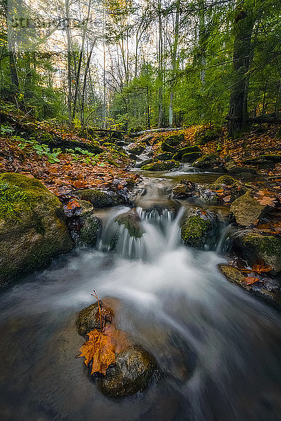 Über Felsen stürzendes Wasser in einer Herbstlandschaft; Ontario  Kanada