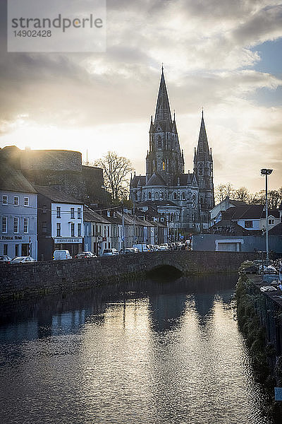 Saint Fin Barre's Cathedral; Cork City  Grafschaft Cork  Irland