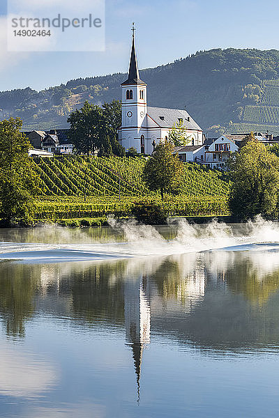 Weiße Kirche mit hohem Kirchturm  die sich in einem Fluss spiegelt  mit Weinbergen am abfallenden Ufer und blauem Himmel; Kesten  Deutschland