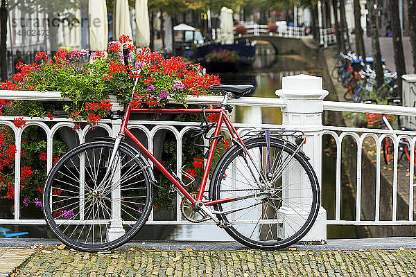 Fahrrad entlang weißem Metallgeländer auf Steinbrücke mit bunten Blumen in Kasten und Kanal im Hintergrund unten; Delft  Südholland  Niederlande