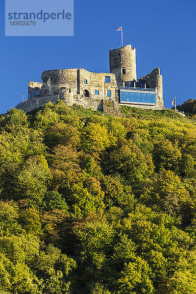 Alte steinerne Burgruine auf einem steilen  bewaldeten Hügel mit blauem Himmel; Bernkastel  Deutschland