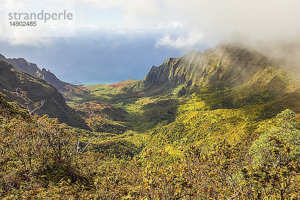 Dramatische Berglandschaft und farbenfrohes Laub auf einer hawaiianischen Insel mit Blick auf den Pazifischen Ozean  von der Spitze der Na-Pali-Küste aus gesehen; Kauai  Hawaii  Vereinigte Staaten von Amerika