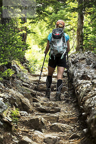 Wanderin  die einen felsigen Pfad im Wald hinaufsteigt; British Columbia  Kanada