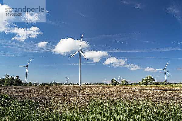 Große Metallwindmühlen in einem landwirtschaftlichen Feld mit blauem Himmel und Wolken  westlich von Port Colborne; Ontario  Kanada