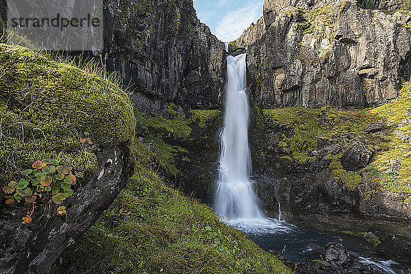 Wasser  das von einer steilen Felsklippe in einen darunter liegenden Fluss fällt; Island