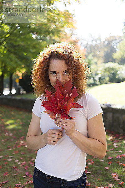 Porträt einer Frau mit rotem  lockigem Haar  die herbstlich gefärbte Blätter hält; Burnaby  British Columbia  Kanada