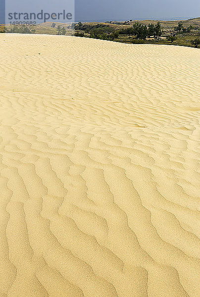 Sanddünenwellen auf einem großen Sanddünenhügel mit sanften Hügeln und dunkelblauem Himmel im Hintergrund  südöstlich von Leader; Saskatchewan  Kanada
