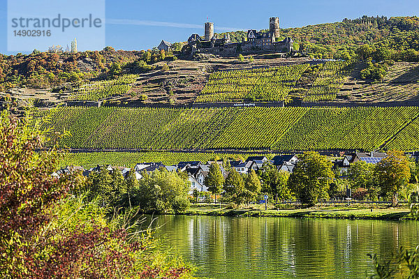 Altes Steinschloss auf dem Gipfel eines Flusstals mit Reihen von Weinbergen an steilen Hängen und einem Dorf am Flussufer mit blauem Himmel; Alken  Deutschland