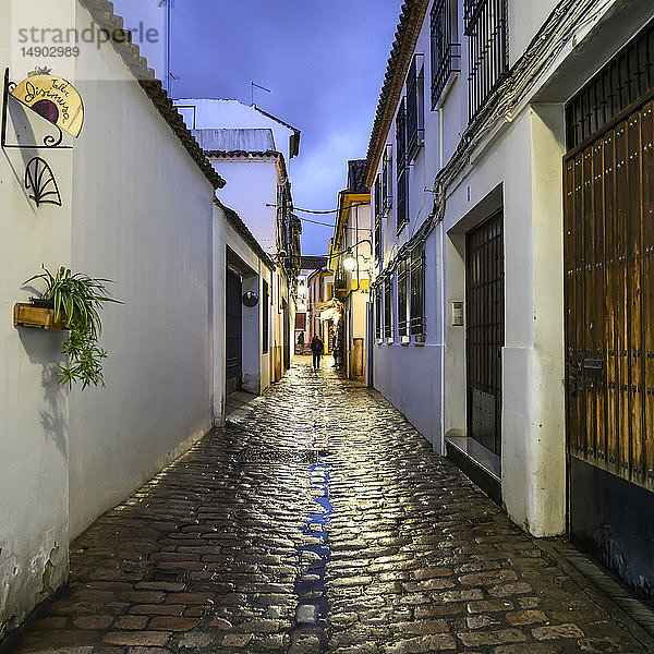 Eine schmale Straße zwischen regennassen Häusern; Cordoba  Provinz Cordoba  Spanien