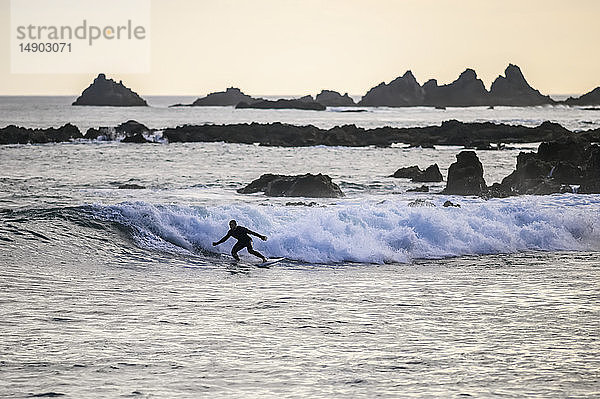 Surfen in der Abenddämmerung in der Houghton Bay; Wellington  Neuseeland