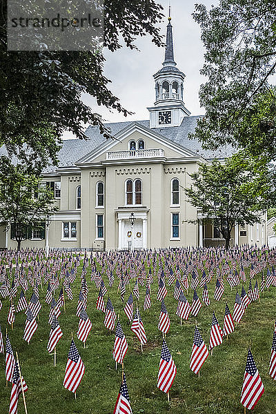 Fahnen im Rasen für die Feier zum 4. Juli; Lititz  Pennsylvania  Vereinigte Staaten von Amerika