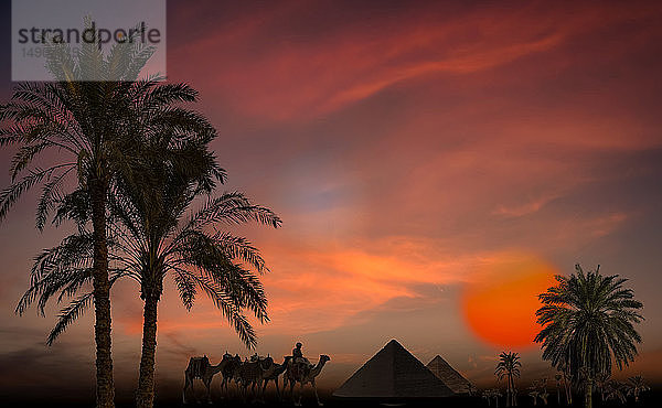 Kompositbild mit Silhouetten von Pyramiden  Palmen und einem Soldaten mit Kamelen bei Sonnenuntergang