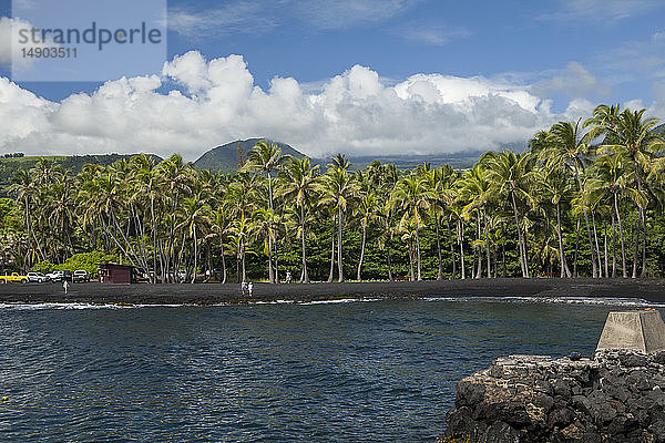 PunaluÊ u Beach  ein von Palmen gesäumter schwarzer Sandstrand am Wasser  District of Kau; Insel Hawaii  Hawaii  Vereinigte Staaten von Amerika