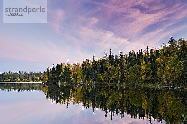 Herbstfarbenes Laub an den Bäumen rund um den Dickens Lake bei Sonnenuntergang; Saskatchewan  Kanada
