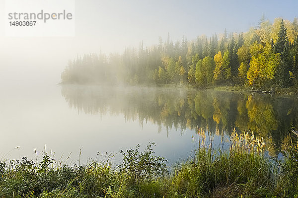 Nebel und herbstlich gefärbtes Laub an den Bäumen rund um den Dickens Lake; Saskatchewan  Kanada