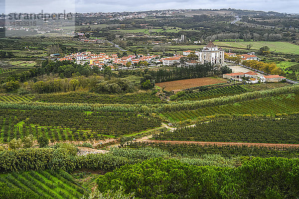 Üppiges  grünes Ackerland mit Feldfrüchten in der Umgebung von Obidos  Portugal; Obidos  Bezirk Leiria  Portugal