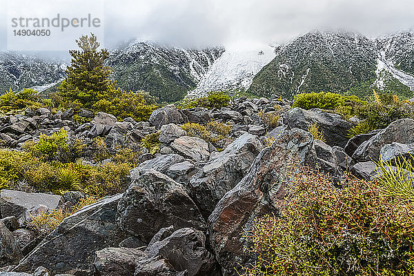 Felsen und Vegetation entlang des Hooker Valley Track  Mount Cook National Park; Südinsel  Neuseeland