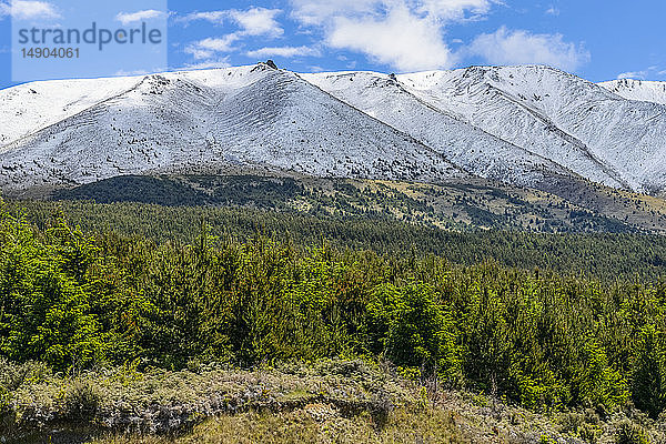 Schneebedeckte Berge und endlose Wälder in der Nähe des Lake Pukaki; Südinsel  Neuseeland