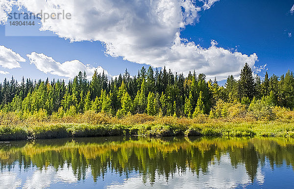 Teich im Herbst  Prince Albert National Park; Saskatchewan  Kanada