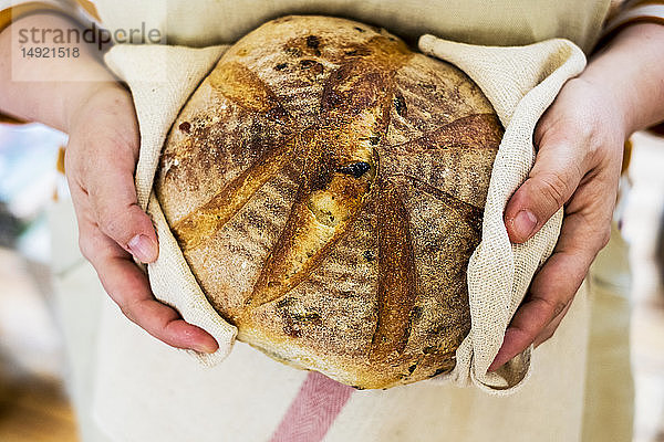 Nahaufnahme einer Person  die einen frisch gebackenen runden Laib Brot in der Hand hält.