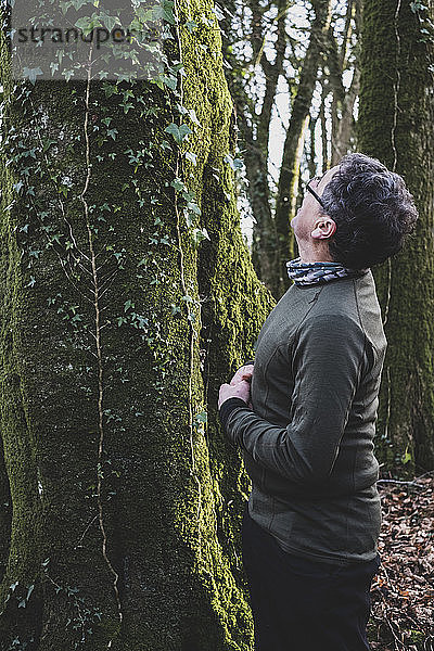 Mann steht im Wald und schaut auf einen mit Moos und Efeu bewachsenen Baum.