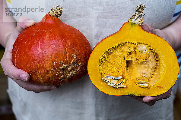 Nahaufnahme einer Person  die einen Kürbis mit halbiertem orangefarbenem Fleisch hält.