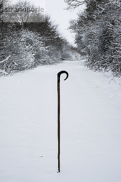 Nahaufnahme eines Hirtenstabes im Schnee auf einer Landstraße.