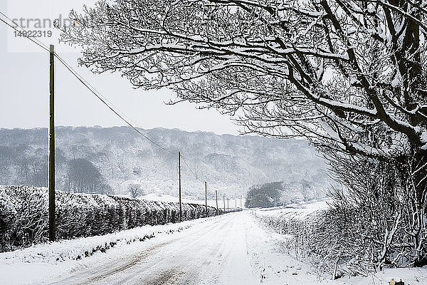 Blick entlang einer von schneebedeckten Bäumen und Hecken gesäumten Landstraße  mit Bäumen auf einem Hügel in der Ferne.