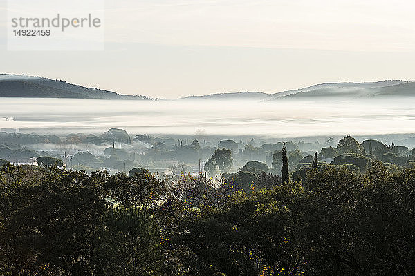 Neblige Landschaft mit Bäumen und Hügeln in der Ferne.