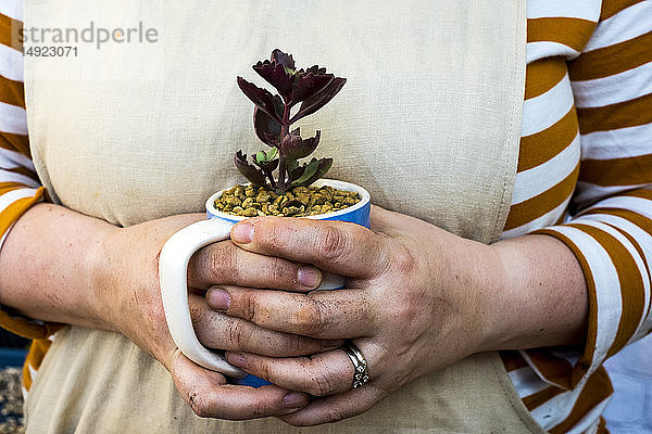 Nahaufnahme einer Person  die einen Kaffeebecher mit Sukkulente hält.