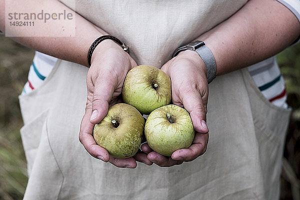 Nahaufnahme einer Person  die drei grüne Äpfel hält.
