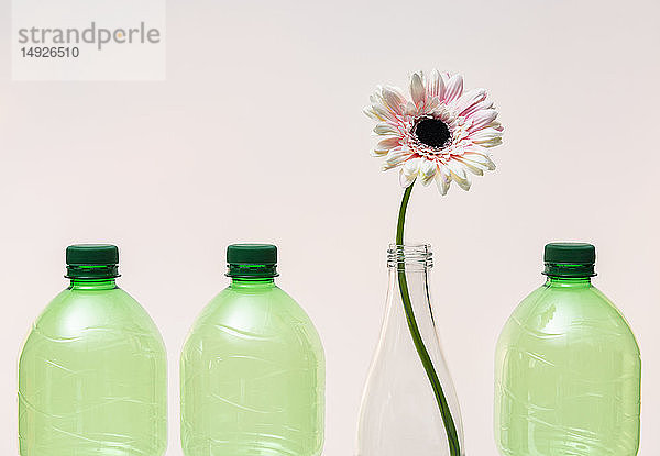 Recycling - Kunststoffflaschen und Glasflasche mit Blume