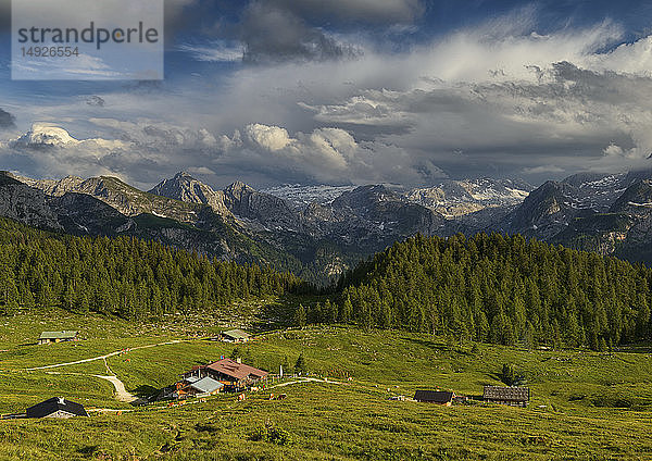 Gotzenalm bei Berchtesgaden  Bayern  BRD