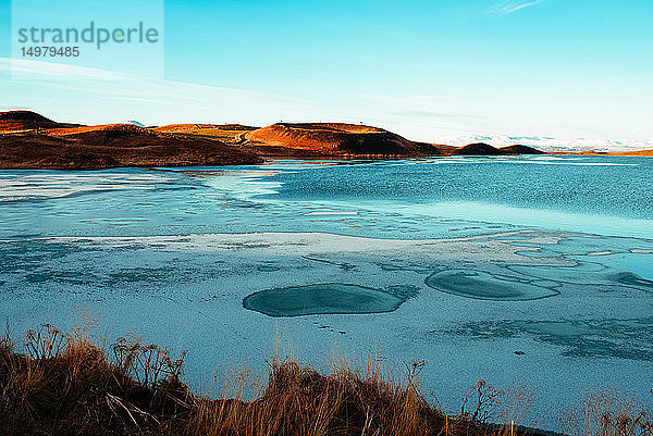 Myvatn-See  Akureyri  Eyjafjardarsysla  Island