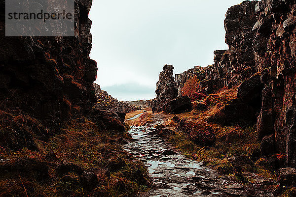 Felsformationen  Thingvellir-Nationalpark  Arnessysla  Island