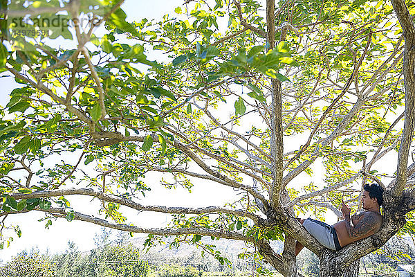 Mann mit Smartphone am Baum  Pagudpud  Ilocos Norte  Philippinen