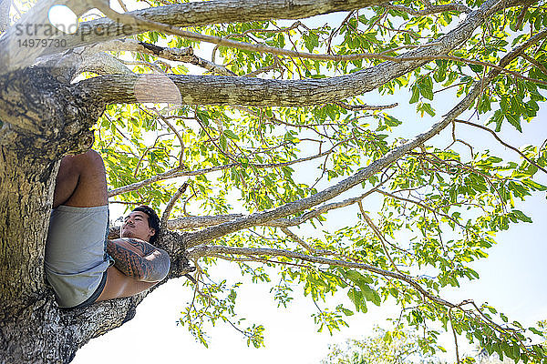 Mann entspannt sich auf Baum  Pagudpud  Ilocos Norte  Philippinen
