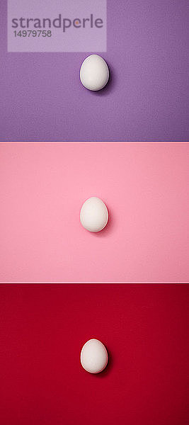 Vertikal abgelegte Eier auf violettem  rosa  rotem Hintergrund
