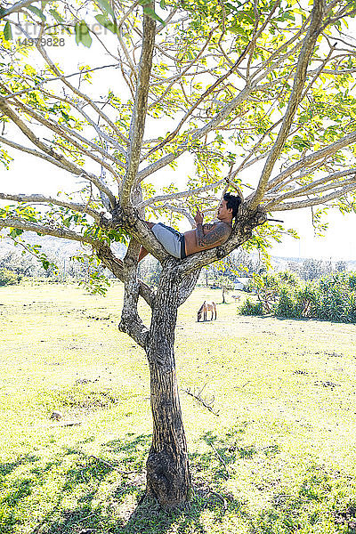 Mann mit Smartphone am Baum  Pagudpud  Ilocos Norte  Philippinen