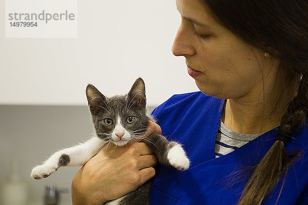 Tierarzt mit Kätzchen