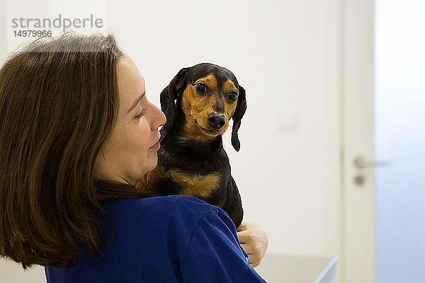 Tierarzt tröstet Hund vor Behandlung