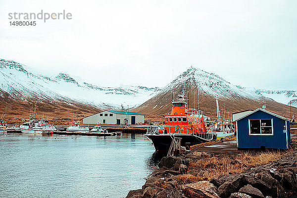 Hafen  Djúpivogur  Sudur-Mulasysla  Island